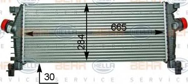 BEHR HELLA SERVICE 8ML376910211 Інтеркулер