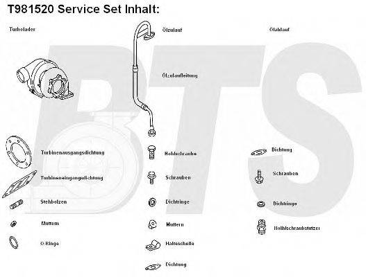 BTS TURBO T981520 Компресор наддув