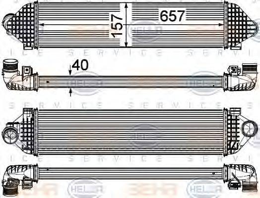 HELLA 8ML376755631 Інтеркулер