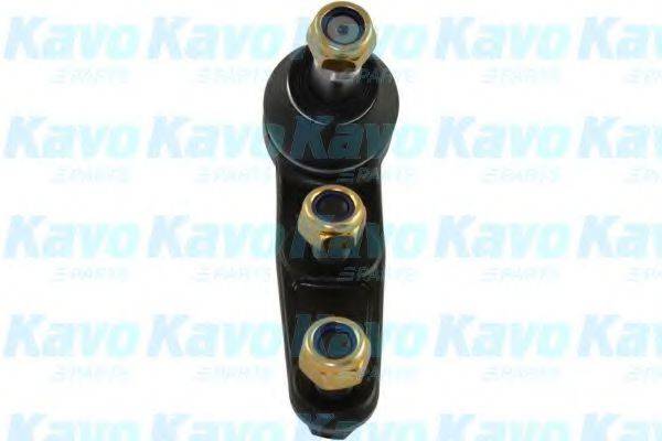 KAVO PARTS SBJ1001 несучий / напрямний шарнір