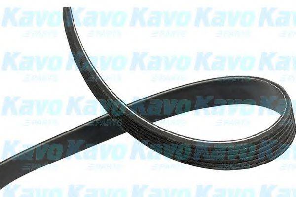 KAVO PARTS DMV1012 Полікліновий ремінь