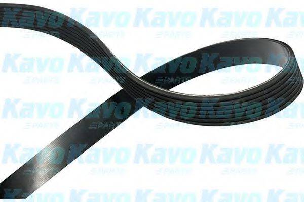 KAVO PARTS DMV2033 Полікліновий ремінь