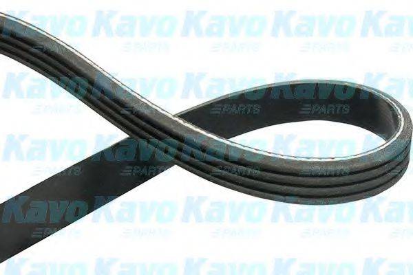 KAVO PARTS DMV2057 Полікліновий ремінь