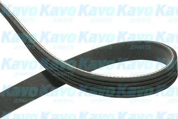 KAVO PARTS DMV5508 Полікліновий ремінь