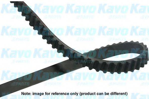 KAVO PARTS DTB6523 Ремінь ГРМ