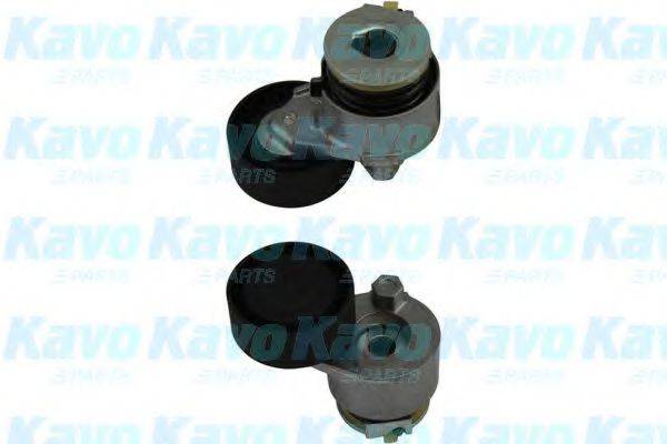 KAVO PARTS DTP6506 Натяжний ролик, полікліновий ремінь