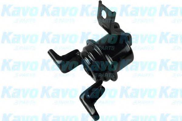 KAVO PARTS EEM5564 Підвіска, двигун