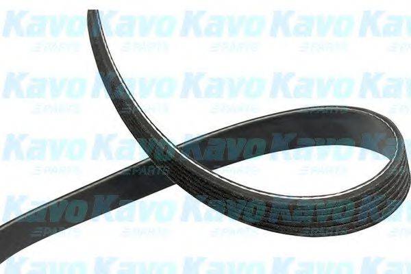 KAVO PARTS DMV5549 Полікліновий ремінь