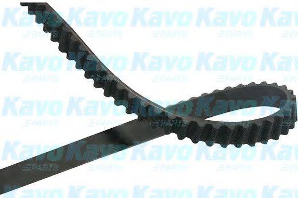 KAVO PARTS DTB5552 Ремінь ГРМ