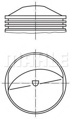 MAHLE ORIGINAL 5037100 Поршень