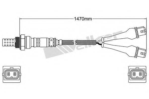 WALKER PRODUCTS 25024184 Лямбда-зонд