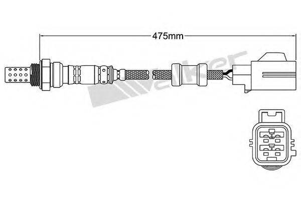 WALKER PRODUCTS 25024455 Лямбда-зонд