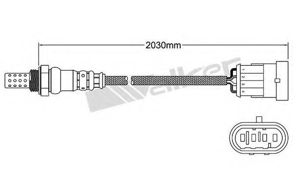 WALKER PRODUCTS 25024696 Лямбда-зонд