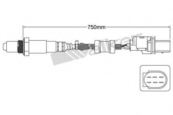 WALKER PRODUCTS 80095007 Лямбда-зонд