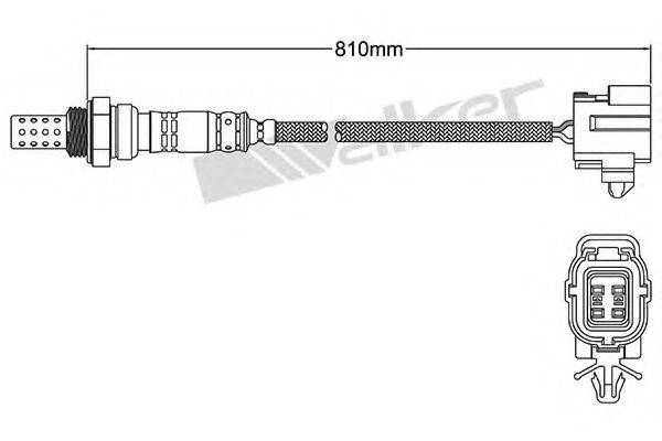 WALKER PRODUCTS 25024128 Лямбда-зонд