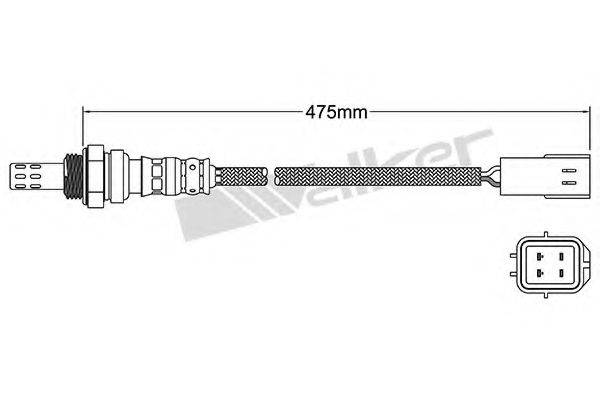 WALKER PRODUCTS 25024741 Лямбда-зонд