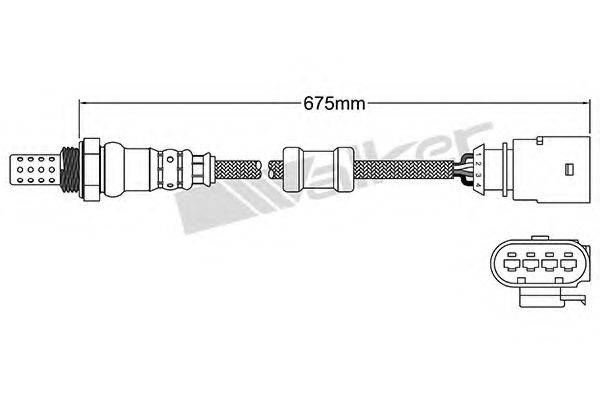 WALKER PRODUCTS 25024954 Лямбда-зонд