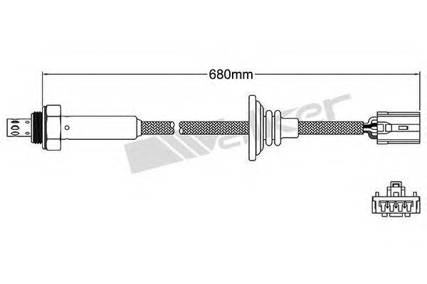 WALKER PRODUCTS 25024535 Лямбда-зонд