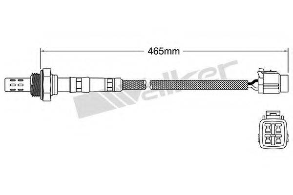 WALKER PRODUCTS 25024295 Лямбда-зонд