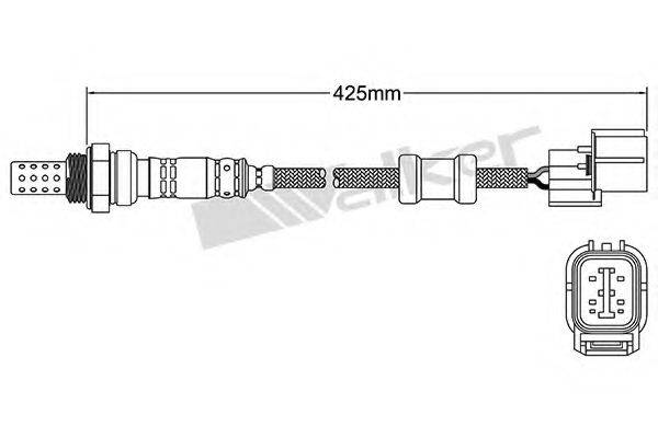 WALKER PRODUCTS 25024099 Лямбда-зонд