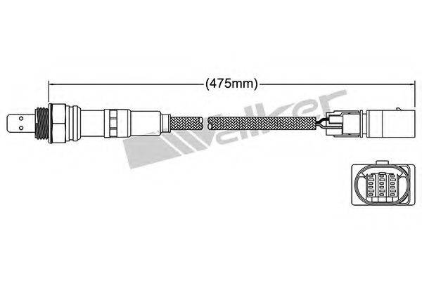 WALKER PRODUCTS 25025062 Лямбда-зонд