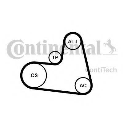 CONTITECH 6PK1217K1 Полікліновий ремінний комплект