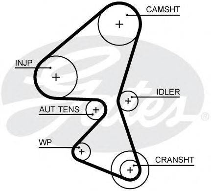 GATES 5656XS Ремінь ГРМ