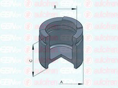 AUTOFREN SEINSA D025311 Поршень, корпус скоби гальма