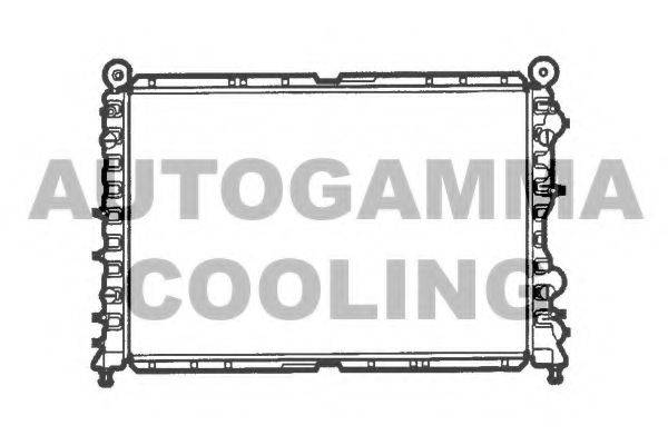 AUTOGAMMA 100010 Радіатор, охолодження двигуна