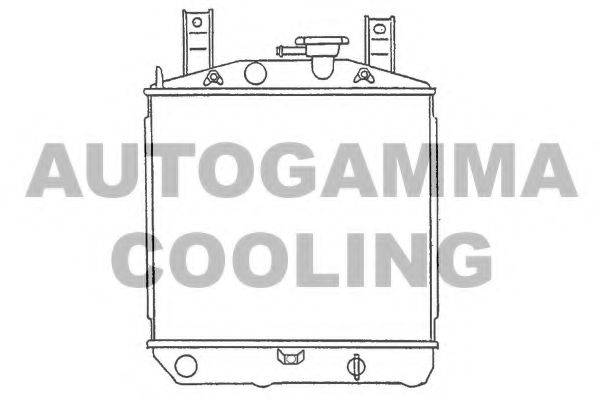 AUTOGAMMA 100242 Радіатор, охолодження двигуна