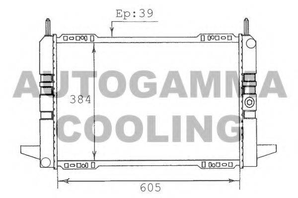 AUTOGAMMA 100367 Радіатор, охолодження двигуна