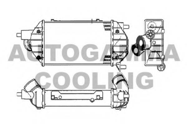 AUTOGAMMA 105560 Інтеркулер