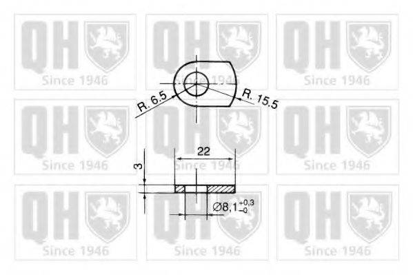 QUINTON HAZELL QTS840025 Газова пружина, капот