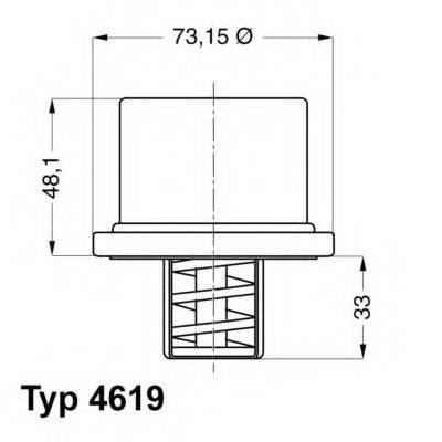 WAHLER 461986 Термостат, охолоджуюча рідина